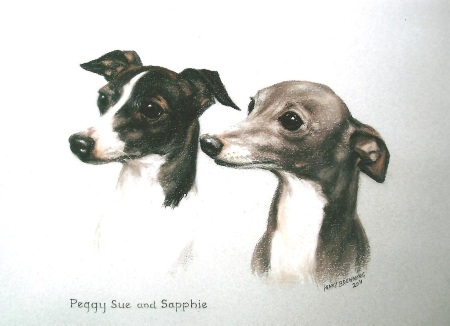 Head study of two Italian Greyhounds by Mary Browning